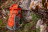 Рюкзак туристический PAYER Makalu (Макалу) 80L (оранжевый)